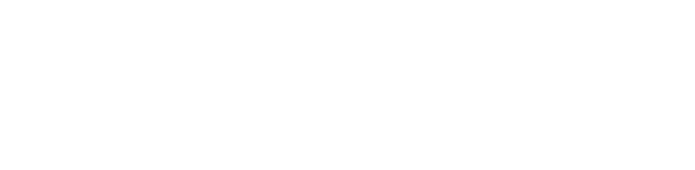 diginerve white.png