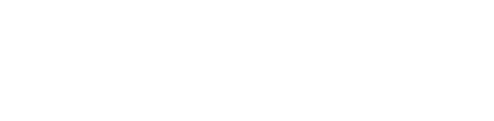 nova spark white.png